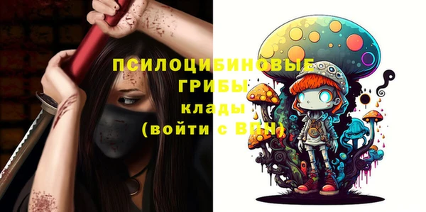 PSILOCYBIN Приозерск