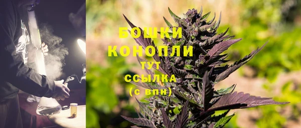 тгк Пролетарск
