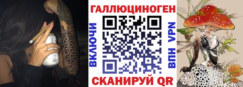 Купить где Калининец Псилоцибиновые грибы прущие грибы